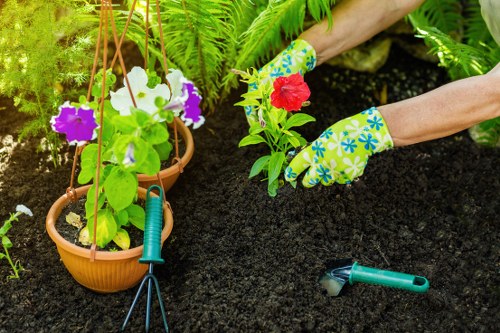 Healthy green lawn maintained through regular mowing