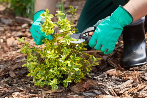 Seasonal lawn care activities in Kensington