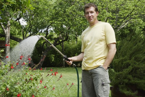 Professional tree removal process in Kensington
