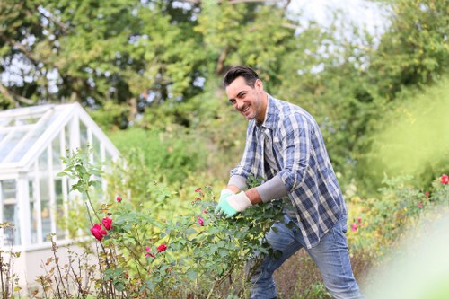 Professional gardener working on dense hedges in Kensington