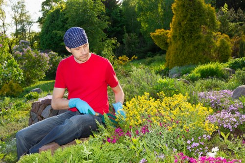 Seasonal garden maintenance activities in Kensington