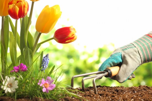 Professional lawn mowing service at work in Kensington