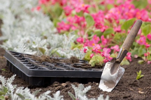 Sustainable landscaping practices in a Kensington backyard