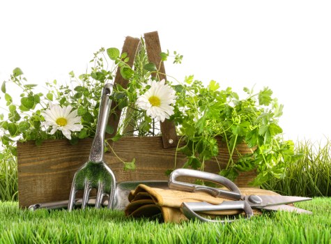 Garden clearance process in action