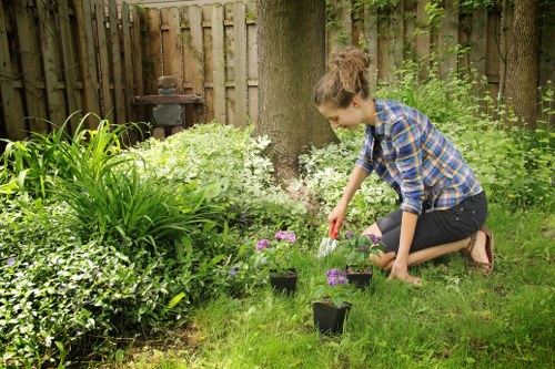Signs your tree needs removal in Kensington