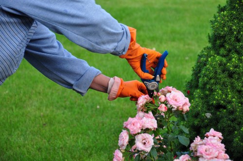 Essential garden maintenance tools in Kensington
